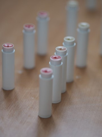 P1010057 (Small).JPG